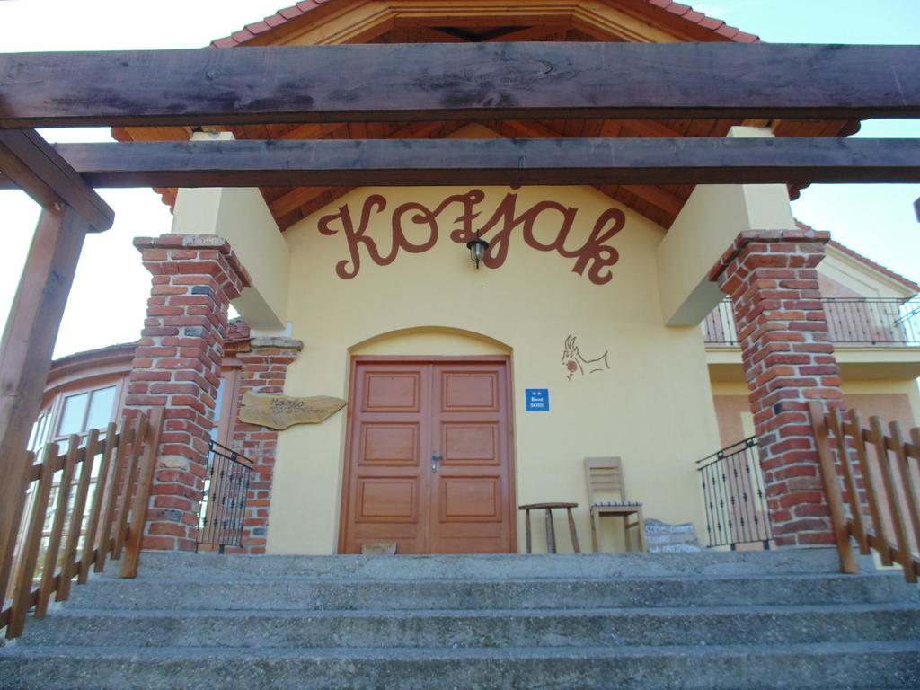 Začretje Guest House Kozjak المظهر الخارجي الصورة